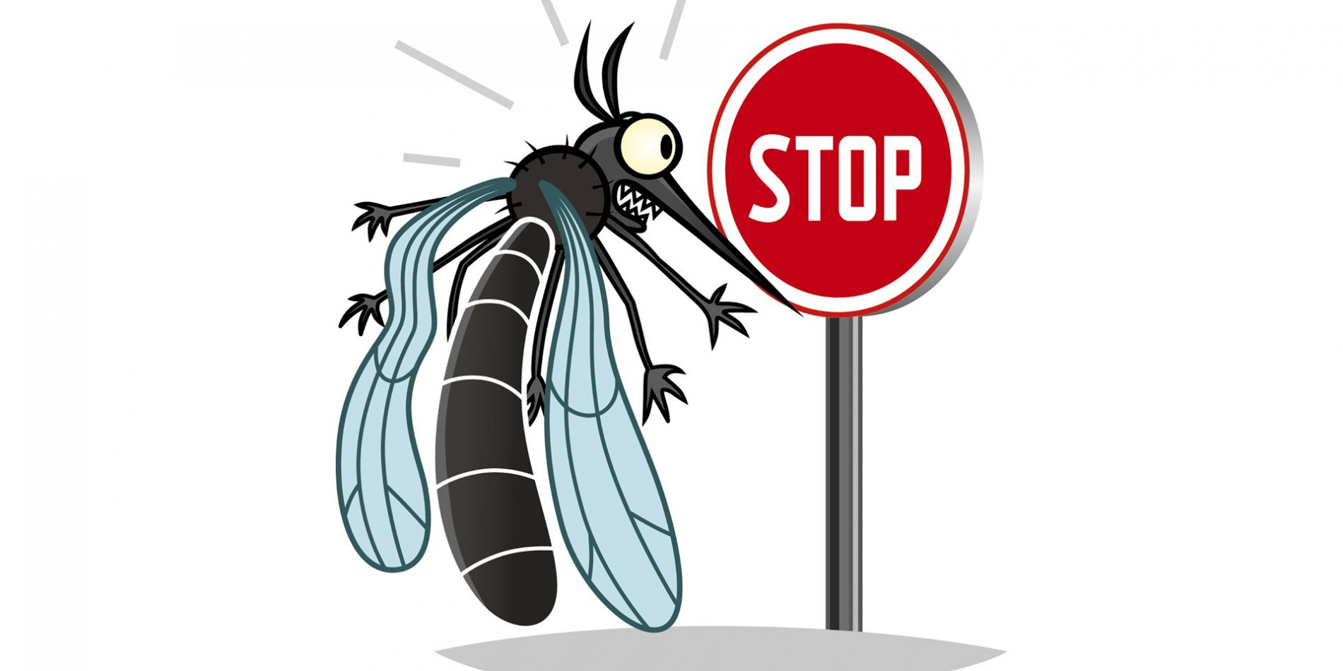 Stop aux moustiques !